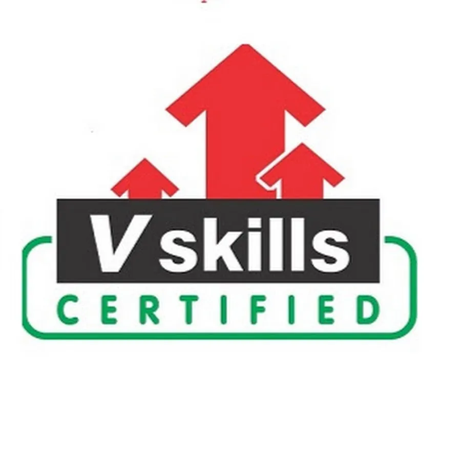 vSkills